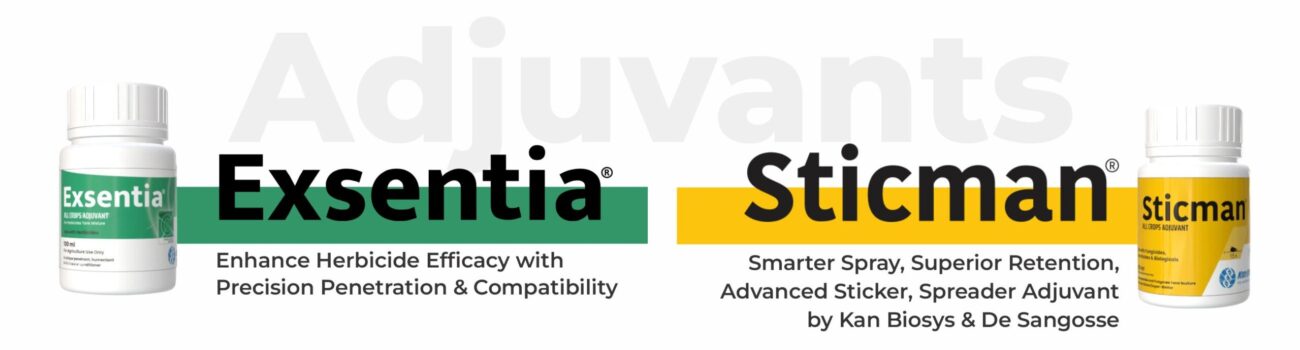 Banner for Adjuvants