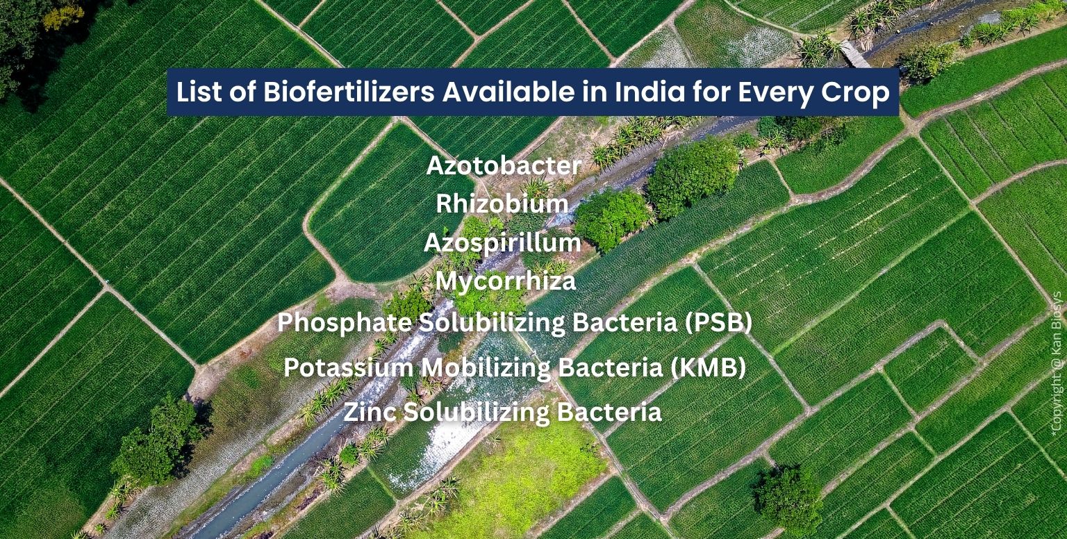 Complete List of Biofertilizers Available in India for Every Crop