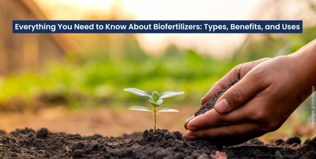 Everything You Need to Know About Biofertilizers Types, Benefits, and Uses