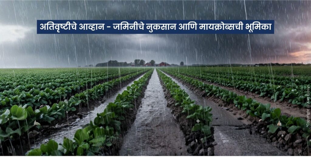 अतिवृष्टीचे आव्हान - जमिनीचे नुकसान आणि मायक्रोब्सची भूमिका