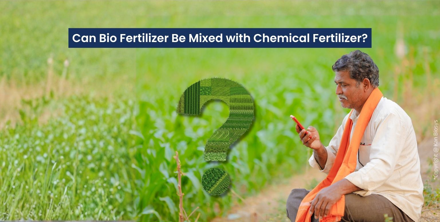 Can Bio Fertilizer Be Mixed with Chemical Fertilizer