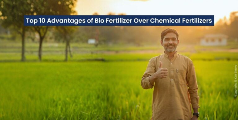 Top 10 Advantages of Bio Fertilizer Over Chemical Fertilizers